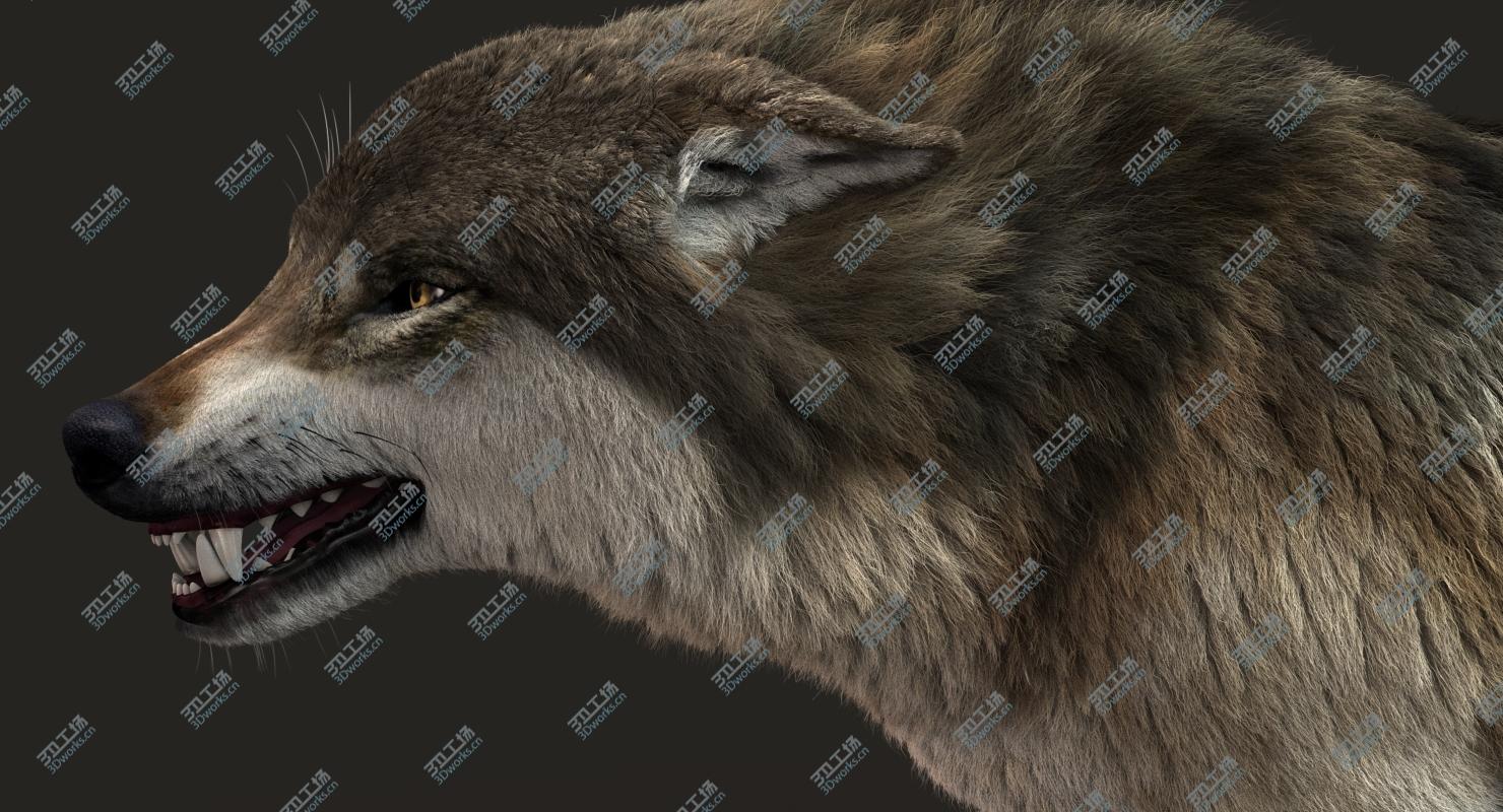 images/goods_img/20210113/Wolf 3 RIG FUR model/4.jpg